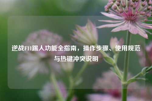 逆战F11踢人功能全指南，操作步骤、使用规范与热键冲突说明