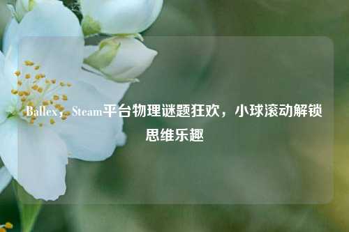 Ballex,Steam平台物理谜题狂欢,小球滚动解锁思维乐趣