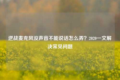 逆战麦克风没声音不能说话怎么弄?2020一文解决常见问题