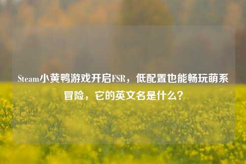 Steam小黄鸭游戏开启FSR,低配置也能畅玩萌系冒险,它的英文名是什么?