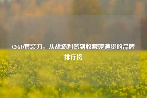 CSGO套装刀,从战场利器到收藏硬通货的品牌排行榜