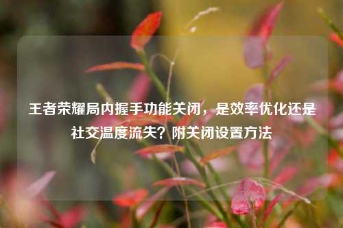 王者荣耀局内握手功能关闭,是效率优化还是社交温度流失?附关闭设置 ***