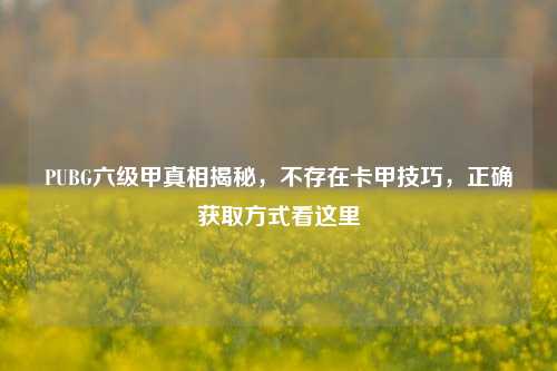 PUBG六级甲真相揭秘,不存在卡甲技巧,正确获取方式看这里
