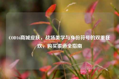 COD16商城皮肤，战场美学与身份符号的双重狂欢，购买渠道全指南