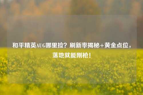 和平精英AUG哪里捡?刷新率揭秘+黄金点位,落地就能刚枪!