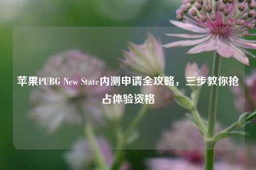 苹果PUBG New State内测申请全攻略,三步教你抢占体验资格