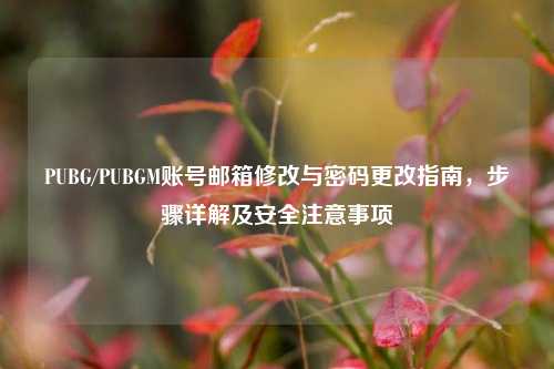PUBG/PUBGM账号邮箱修改与密码更改指南,步骤详解及安全注意事项