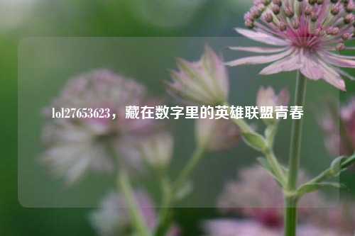lol27653623，藏在数字里的英雄联盟青春