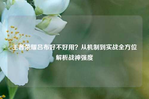 王者荣耀吕布好不好用？从机制到实战全方位解析战神强度