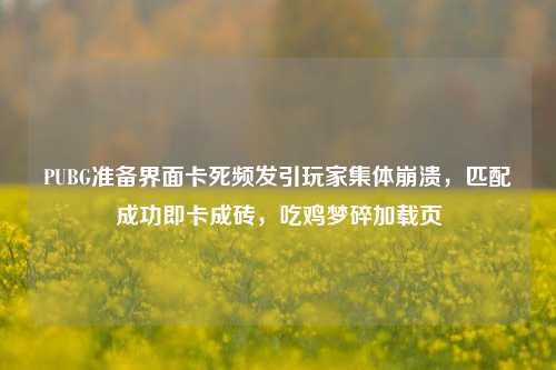 PUBG准备界面卡死频发引玩家集体崩溃,匹配成功即卡成砖,吃鸡梦碎加载页