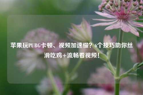 苹果玩PUBG卡顿、视频加速慢?6个技巧助你丝滑吃鸡+流畅看视频!