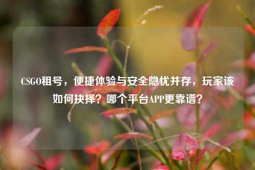 CSGO租号,便捷体验与安全隐忧并存,玩家该如何抉择?哪个平台APP更靠谱?