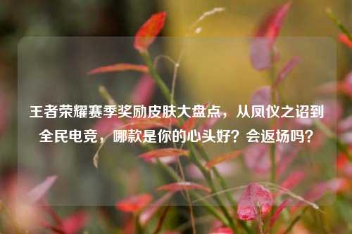 王者荣耀赛季奖励皮肤大盘点,从凤仪之诏到全民电竞,哪款是你的心头好?会返场吗?