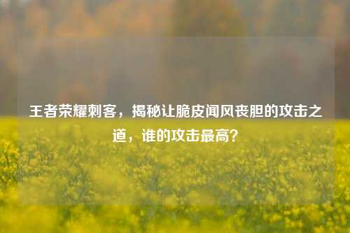 王者荣耀刺客,揭秘让脆皮闻风丧胆的攻击之道,谁的攻击更高?