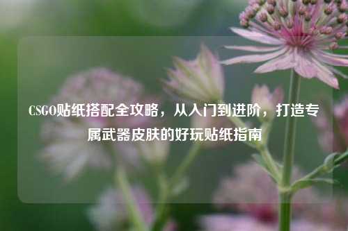 CSGO贴纸搭配全攻略,从入门到进阶,打造专属武器皮肤的好玩贴纸指南