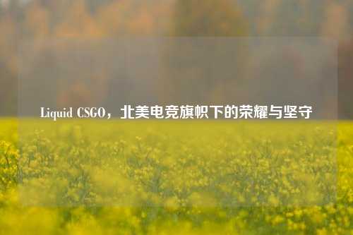 Liquid CSGO,北美电竞旗帜下的荣耀与坚守