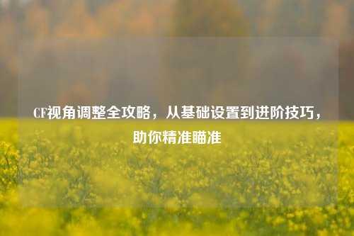 CF视角调整全攻略，从基础设置到进阶技巧，助你精准瞄准