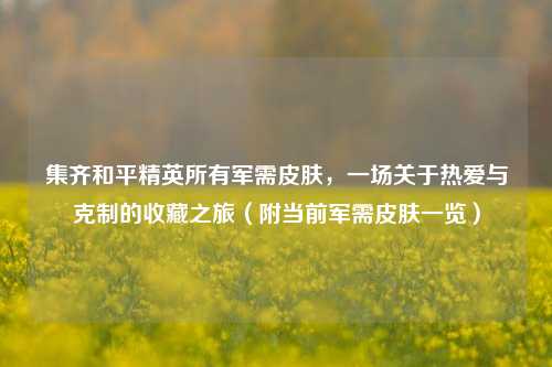 集齐和平精英所有军需皮肤,一场关于热爱与克制的收藏之旅(附当前军需皮肤一览)