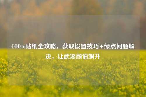 COD16贴纸全攻略,获取设置技巧+绿点问题解决,让武器颜值飙升