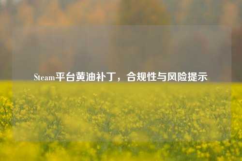 Steam平台黄油补丁,合规性与风险提示