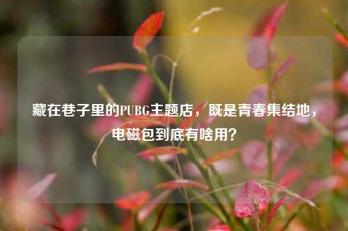 藏在巷子里的PUBG主题店,既是青春集结地,电磁包到底有啥用?