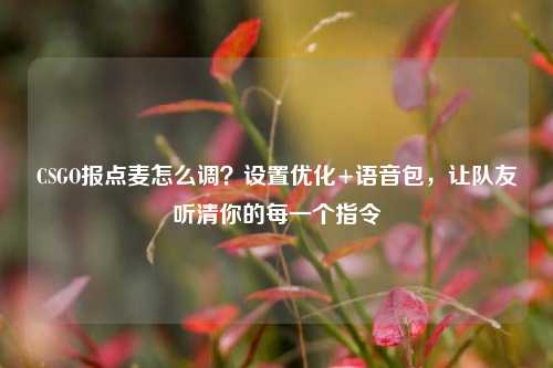 CSGO报点麦怎么调？设置优化+语音包，让队友听清你的每一个指令
