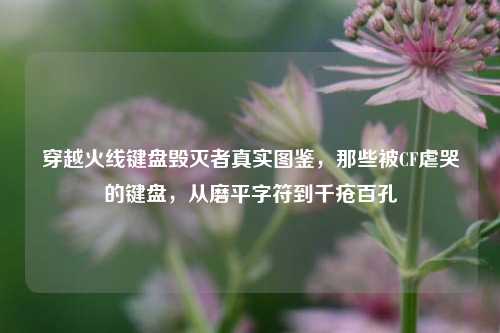 穿越火线键盘毁灭者真实图鉴，那些被CF虐哭的键盘，从磨平字符到千疮百孔