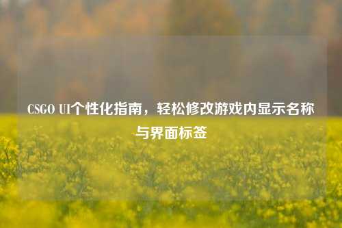 CSGO UI个性化指南,轻松修改游戏内显示名称与界面标签