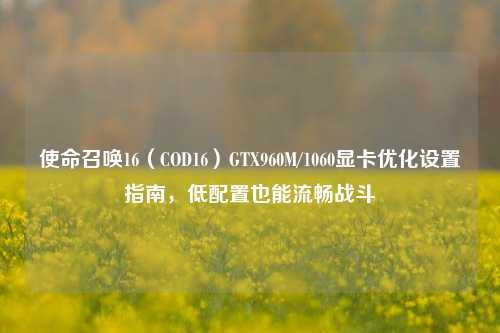 使命召唤16(COD16)GTX960M/1060显卡优化设置指南,低配置也能流畅战斗