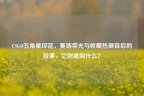 CSGO五角星印花,赛场荣光与收藏热潮背后的故事,它到底叫什么?