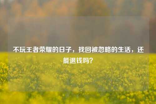 不玩王者荣耀的日子,找回被忽略的生活,还能退钱吗?