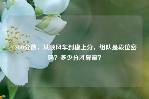 CSGO分数,从顺风车到稳上分,组队是段位密码?多少分才算高?