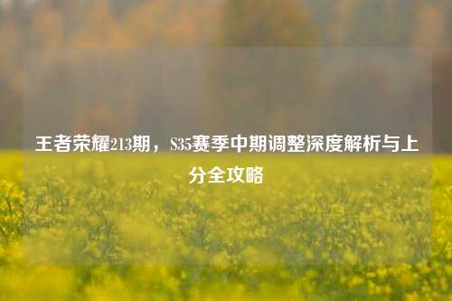 王者荣耀213期，S35赛季中期调整深度解析与上分全攻略