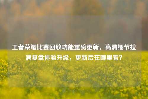 王者荣耀比赛回放功能重磅更新,高清细节拉满复盘体验升级,更新后在哪里看?