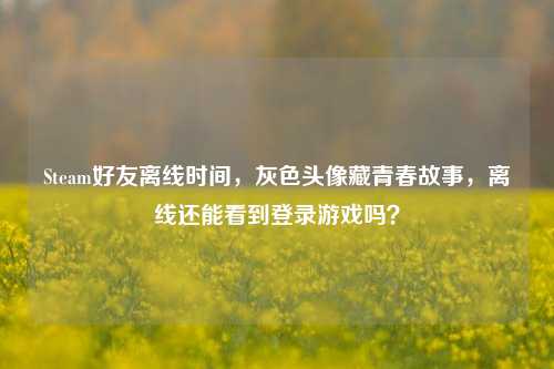Steam好友离线时间，灰色头像藏青春故事，离线还能看到登录游戏吗？