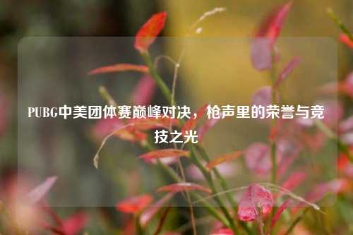 PUBG中美团体赛巅峰对决,枪声里的荣誉与竞技之光