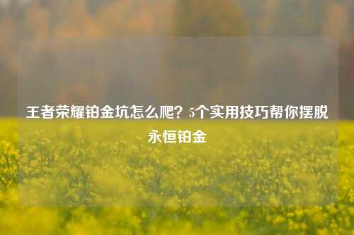 王者荣耀铂金坑怎么爬?5个实用技巧帮你摆脱永恒铂金