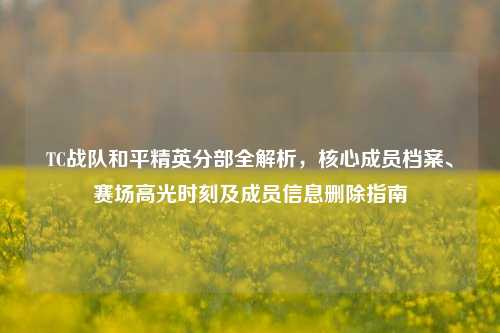 TC战队和平精英分部全解析,核心成员档案、赛场高光时刻及成员信息删除指南