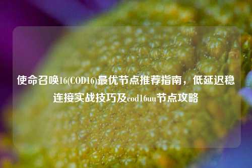 使命召唤16(COD16)更优节点推荐指南，低延迟稳连接实战技巧及cod16uu节点攻略