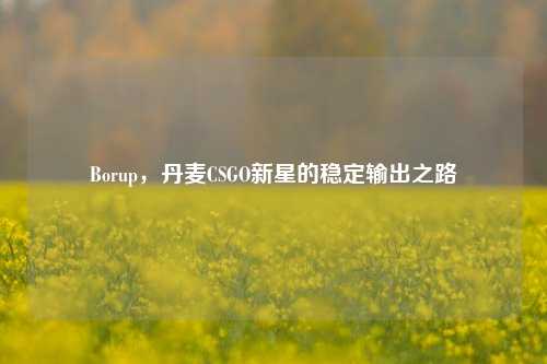 Borup，丹麦CSGO新星的稳定输出之路