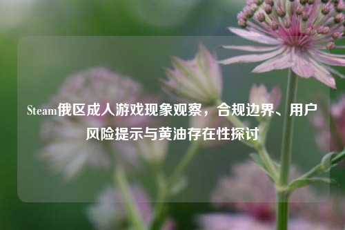 Steam俄区 *** 现象观察,合规边界、用户风险提示与黄油存在性探讨
