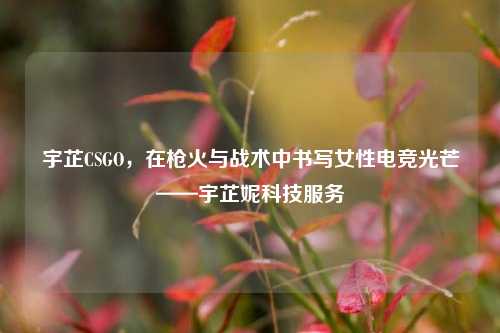 宇芷CSGO，在枪火与战术中书写女性电竞光芒——宇芷妮科技服务