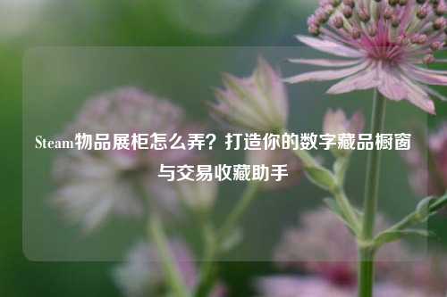 Steam物品展柜怎么弄?打造你的数字藏品橱窗与交易收藏助手