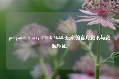 pubg-mobile.net，PUBG Mobile玩家的官方资讯与资源枢纽