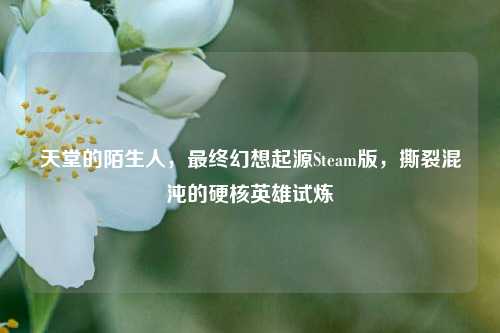 天堂的陌生人，最终幻想起源Steam版，撕裂混沌的硬核英雄试炼
