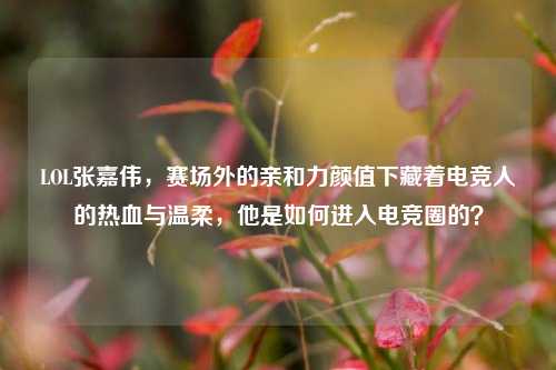 LOL张嘉伟，赛场外的亲和力颜值下藏着电竞人的热血与温柔，他是如何进入电竞圈的？