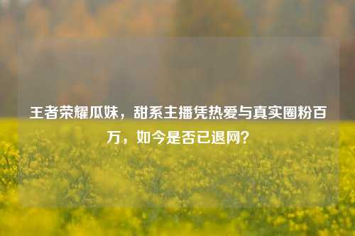 王者荣耀瓜妹,甜系主播凭热爱与真实圈粉百万,如今是否已退网?