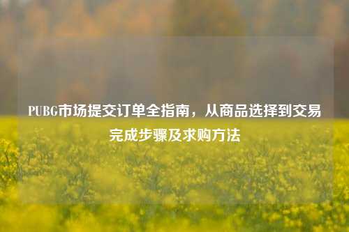 PUBG市场提交订单全指南，从商品选择到交易完成步骤及求购 *** 