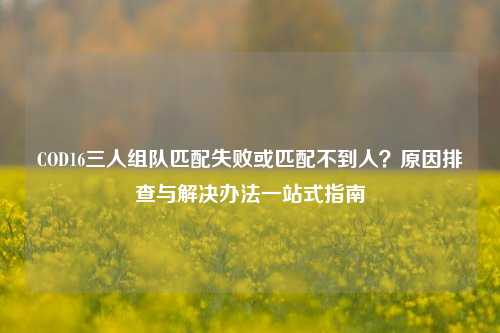 COD16三人组队匹配失败或匹配不到人？原因排查与解决办法一站式指南