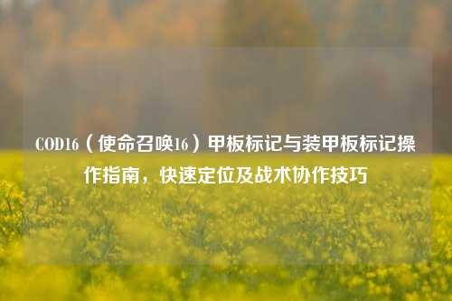 COD16(使命召唤16)甲板标记与装甲板标记操作指南,快速定位及战术协作技巧